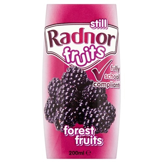 Picture of RADNOR FRUITS FOREST FRUIT 200ML X 24