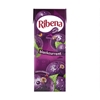 Picture of RIBENA BLACKCURRANT *RTD*  250ML X 24