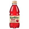 Picture of RADNOR FIZZ SOUR CHERRY 330ML x 24  