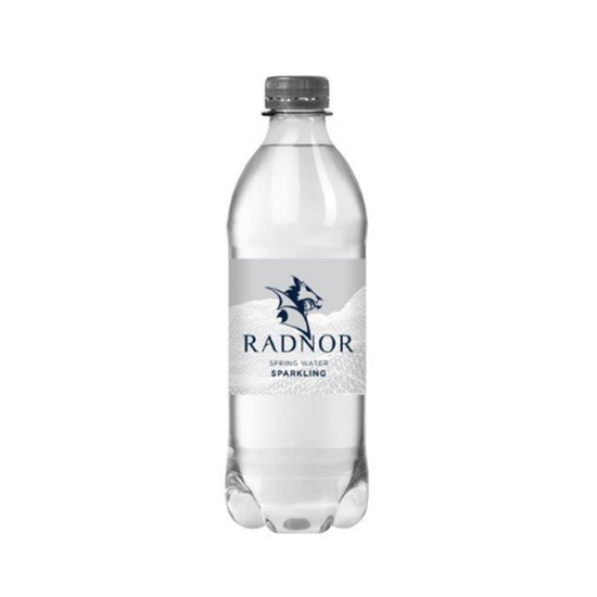 Picture of RADNOR SPARKLING WATER 500ml x 24