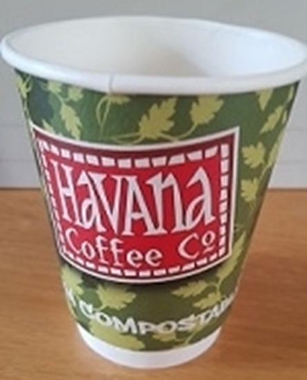 Picture of HAVANA 12OZ TAKEAWAY CUPS x500 GO-PAK