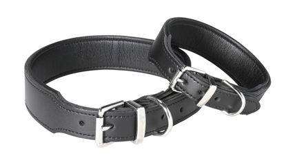 Picture of MEDIUM DOG COLLAR X 12