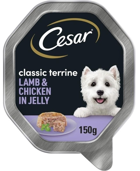 Picture of CESAR LAMB & CHICKEN IN JELLY 150g x 14