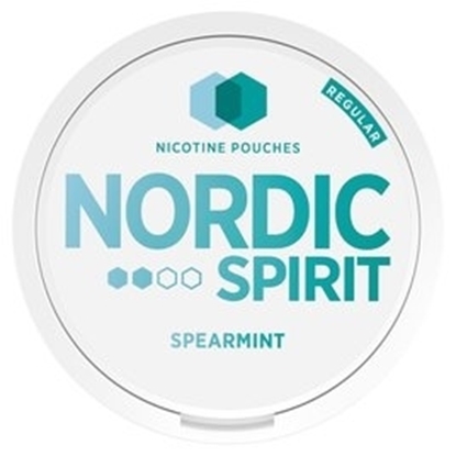 Picture of NORDIC SPIRIT SPEARMINT REGULAR X 5  s/p