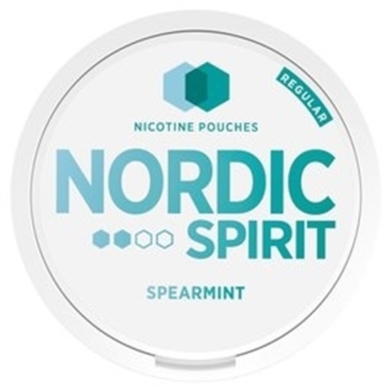 Picture of NORDIC SPIRIT SPEARMINT REGULAR X 5  s/p