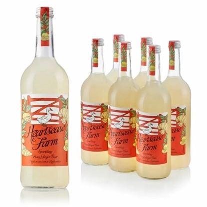 Picture of HEARTSEASE GINGER BEER GLASS 750ml x 6