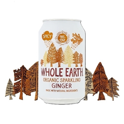 Picture of WHOLE EARTH ORGANIC GINGER 330ml x 24