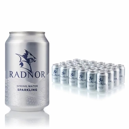 Picture of RADNOR SPARKLING SPRING WATER CANS 330ML X 24