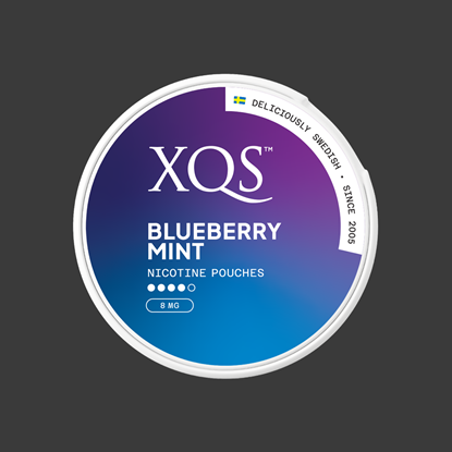 Picture of XQS NICOTINE POUCH BLUEBERRY MINT 20x8MG CANS X 10