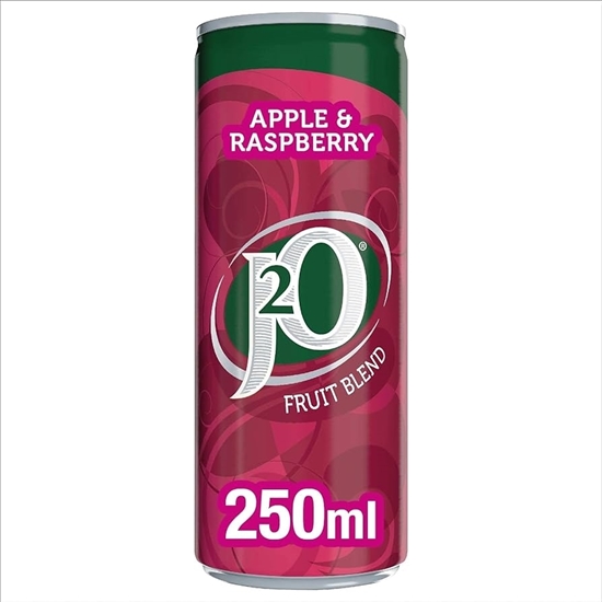 Picture of J2O APPLE & RASPBERRY CAN 250ML X 12 