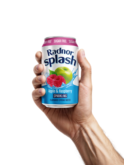 Picture of RADNOR SPLASH APPLE & RASP SPARK CAN 330ML X 24