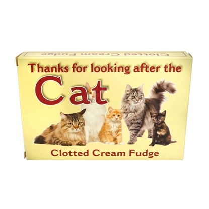 Picture of THANKS FOR LOOKING AFTER THE CAT CL.CRM FUDGE 150G