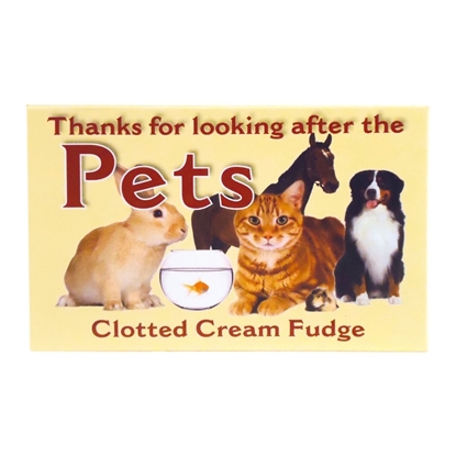 Picture of THANKS FOR LOOKING AFTER THE PET CL.CRM FUDGE 150G