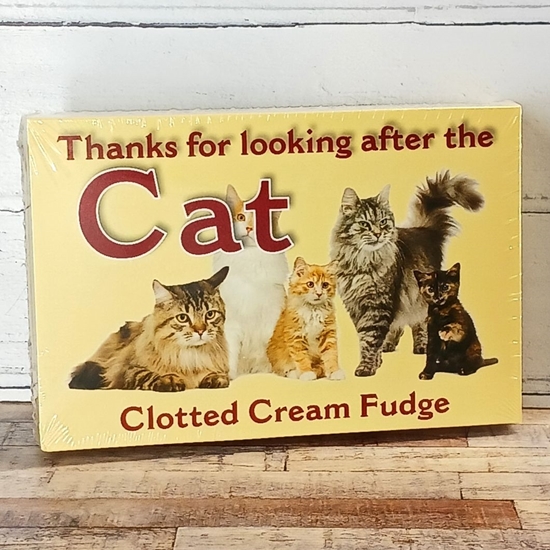 Picture of THANKS FOR LOOKING AFTER THE CAT FUDGE 150G x 10